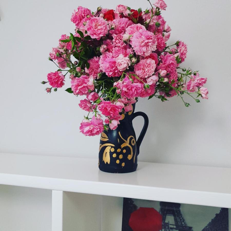 City Center Apartment Niko 04 티라나 외부 사진